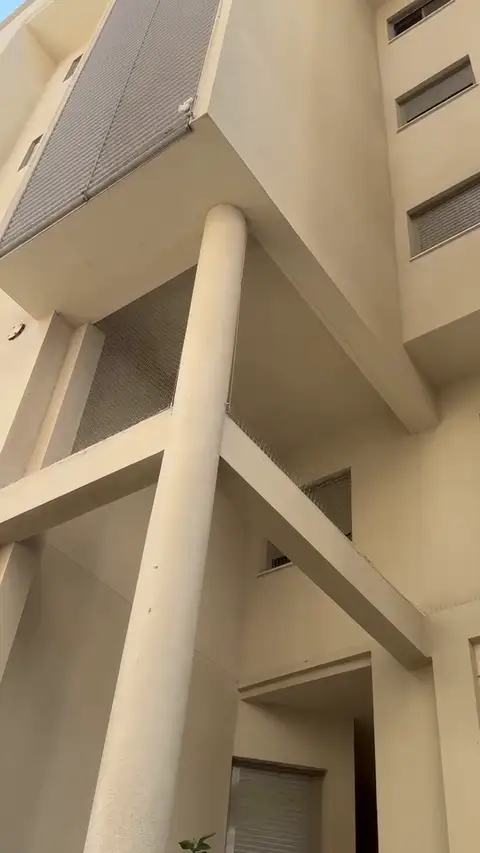 דוקרנים ורשת נגד יונים בפתח בחזית בניין