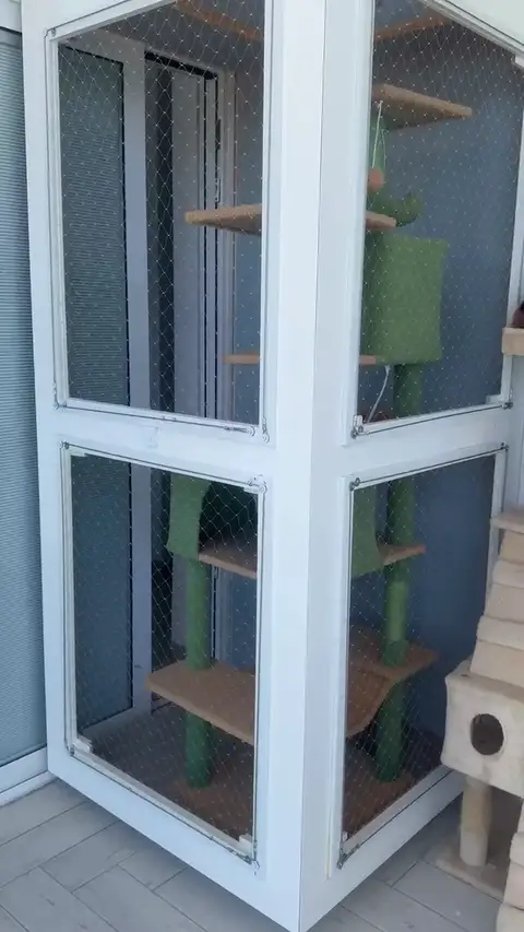 מבנה רשת בטיחות לחתולים במרפסת עם מתקני טיפוס