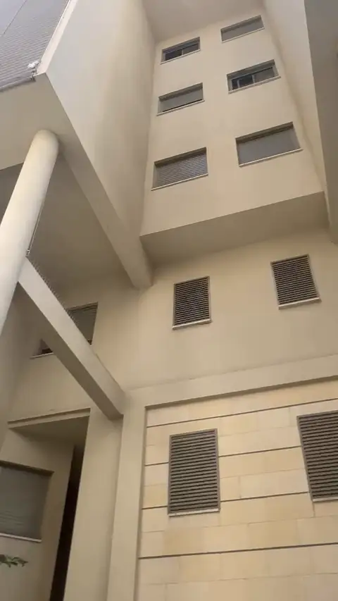 סגירת פתחים לאורך כל הבניין ברשת נגד יונים